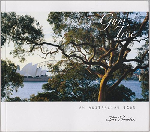 gum tree an australian icon