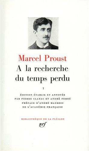 a la recherche du temps perdu : tome 1