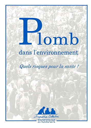 Plomb dans l'environnement : quels risques pour la santé ?