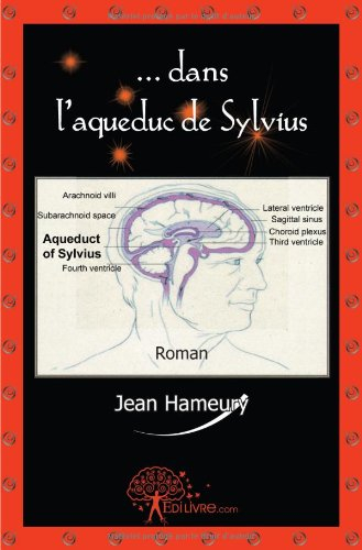 dans l'aqueduc de sylvius
