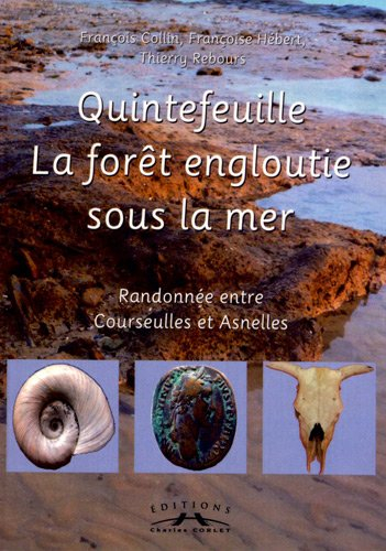 Quintefeuille, la forêt engloutie sous la mer : randonnée entre Courseulles et Asnelles