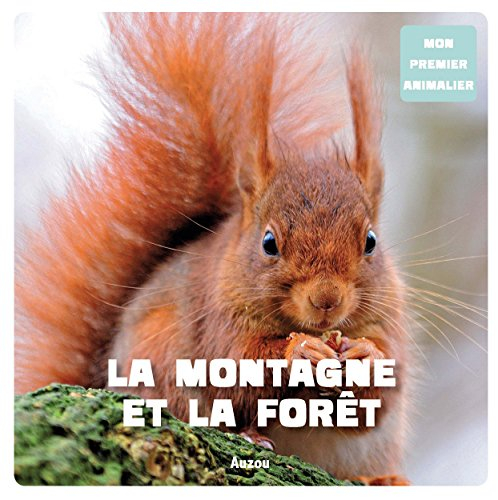 La montagne et la forêt
