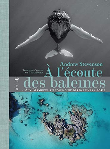 A l'écoute des baleines : aux Bermudes, en compagnie des baleines à bosse