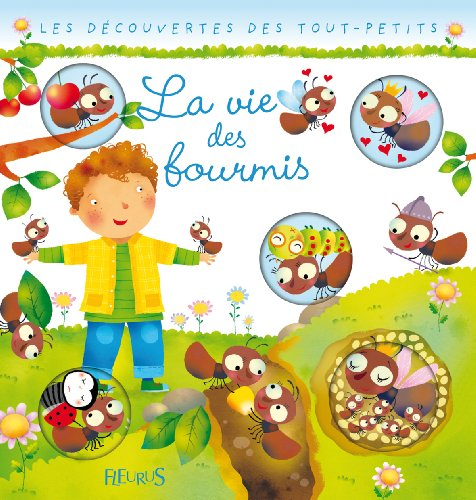 La vie des fourmis