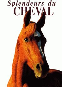 splendeurs du cheval