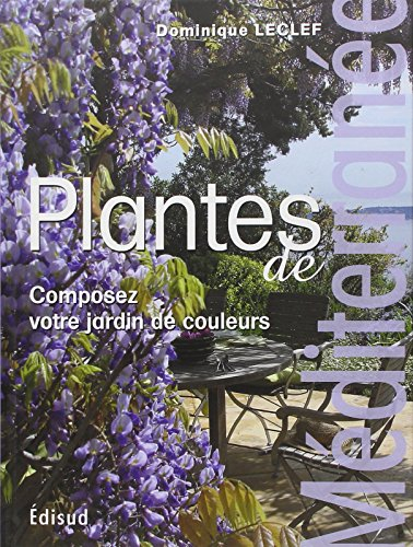 Plantes de Méditerranée : composez votre jardin de couleurs