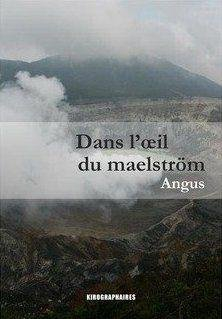 Dans l'oeil du maelström