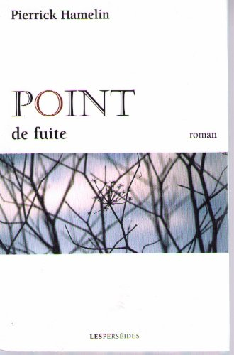 Point de fuite