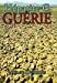 Hepatite C, Guerie