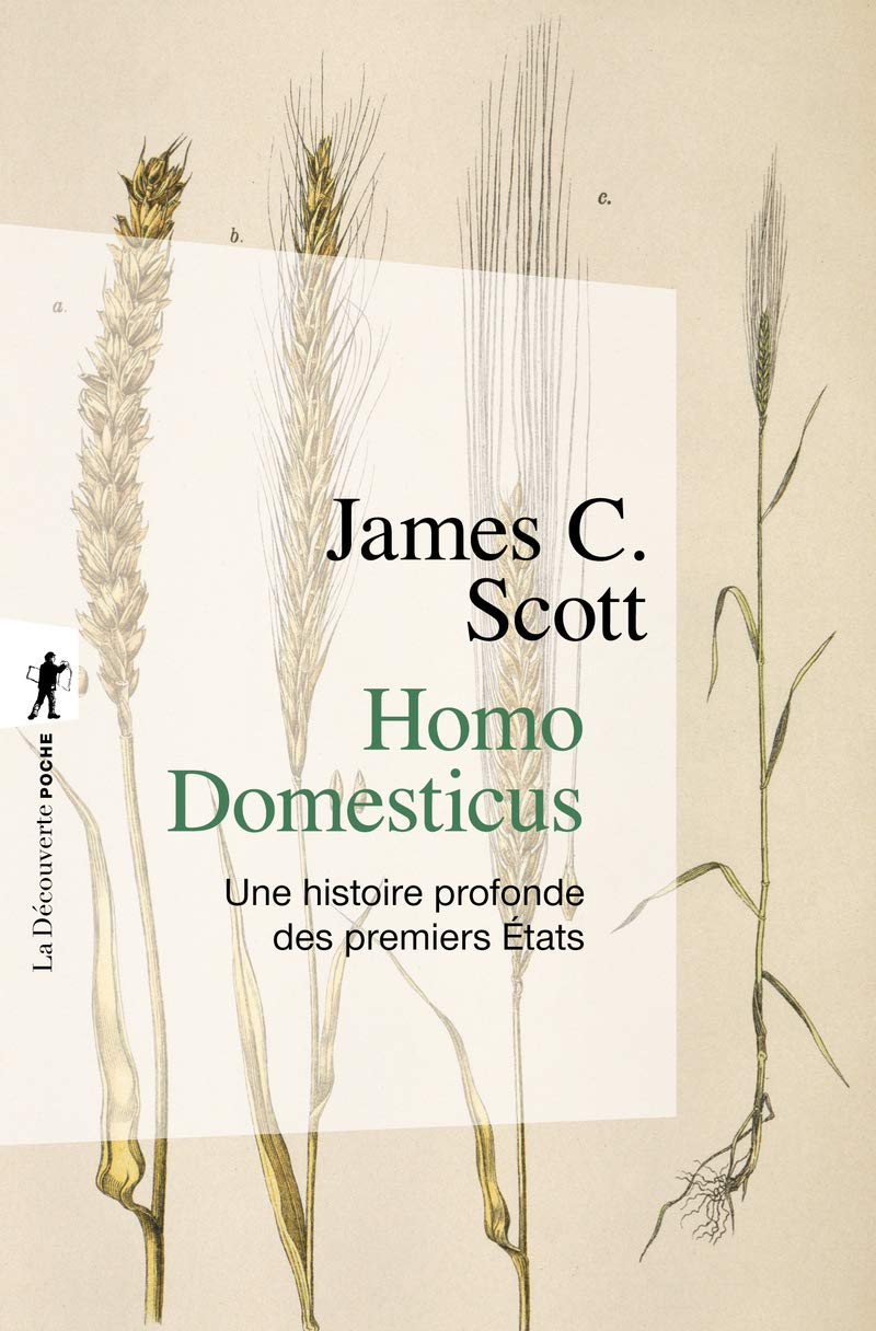 Homo domesticus : une histoire profonde des premiers Etats