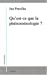 Qu'est-ce que la phénoménologie ?