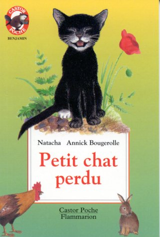 Petit chat perdu