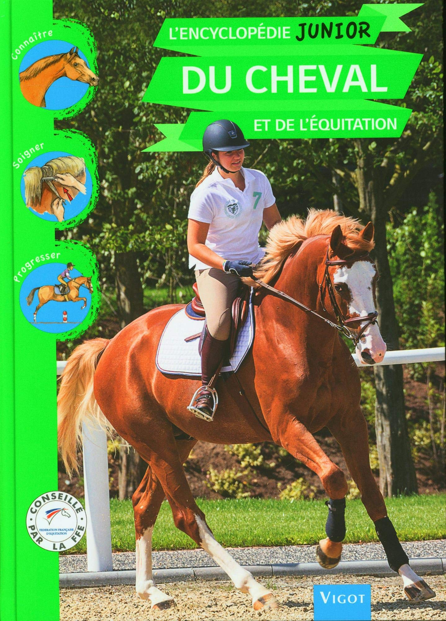 L'encyclopédie junior du cheval et de l'équitation