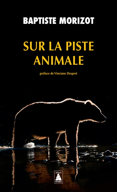 Sur la piste animale