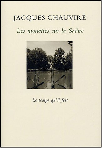 Les mouettes sur la Saône