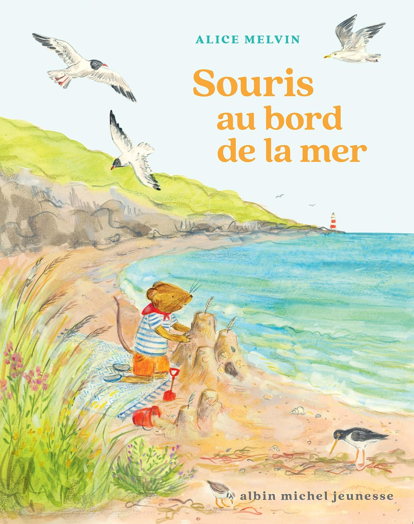 Souris au bord de la mer