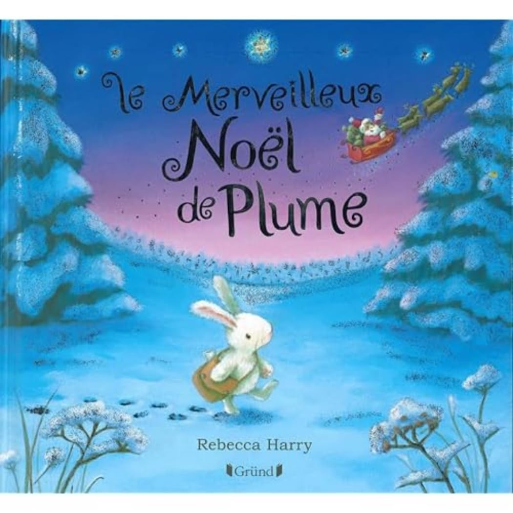 Le merveilleux Noël de Plume