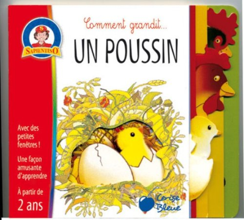Comment grandit un poussin