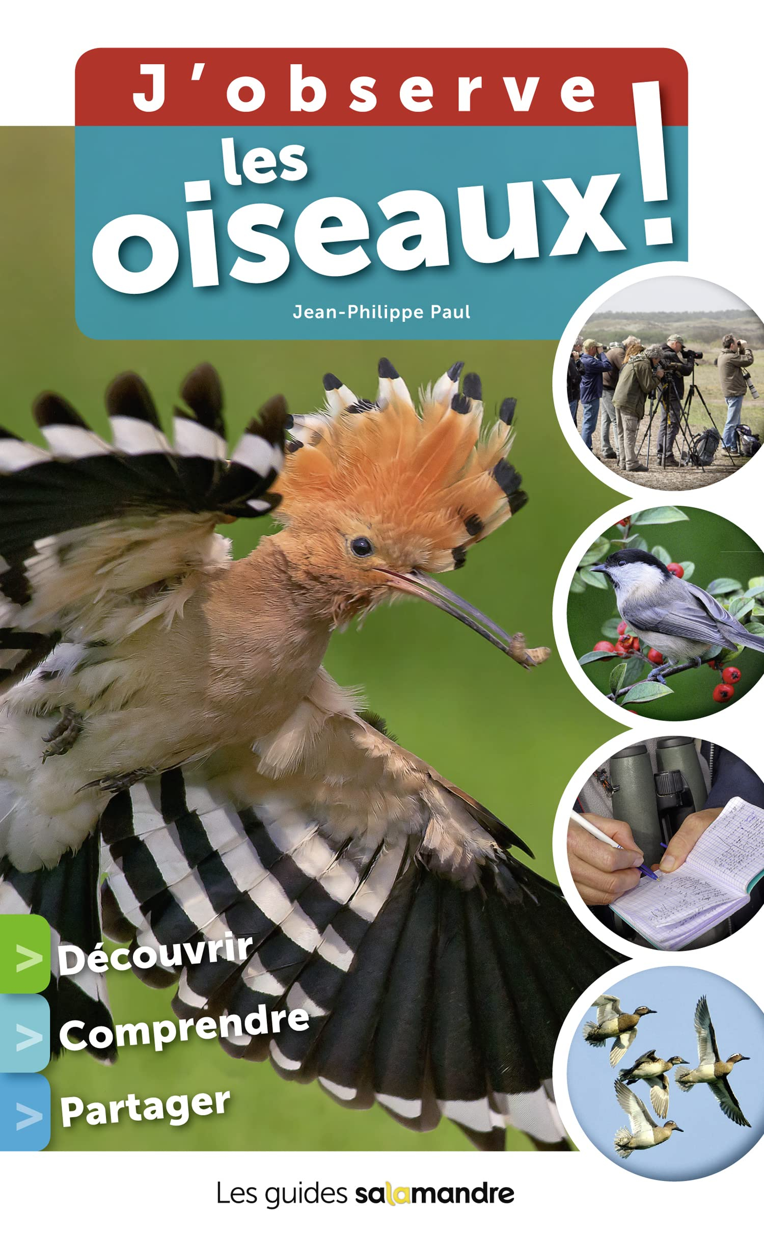 J'observe les oiseaux !