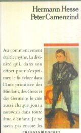 Peter Camenzind : récit