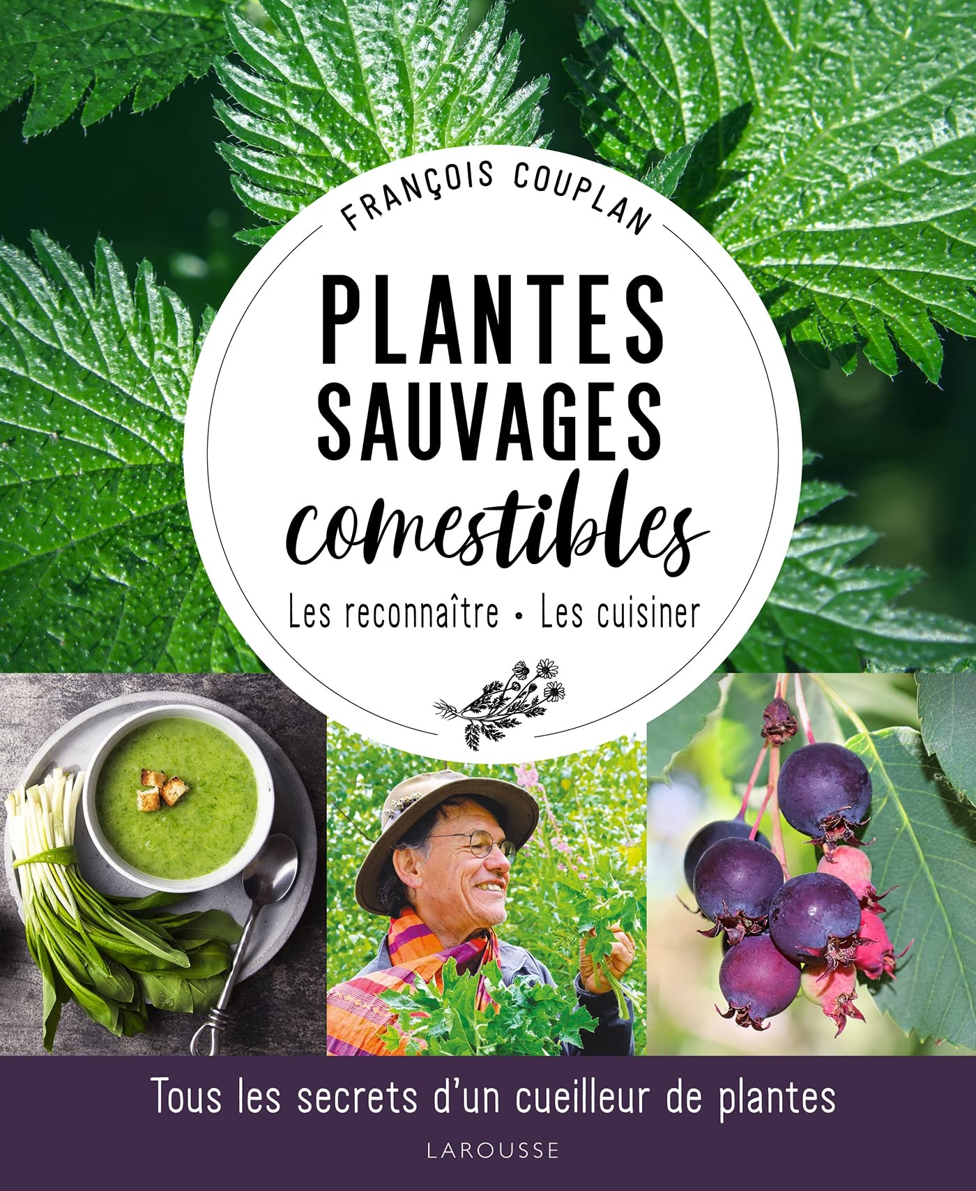 Plantes sauvages comestibles : les reconnaître, les cuisiner : tous les secrets d'un cueilleur de pl