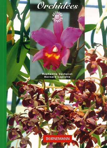 Les orchidées