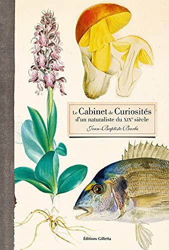 Le cabinet de curiosités d'un naturaliste du XIXe siècle : Jean-Baptiste Barla