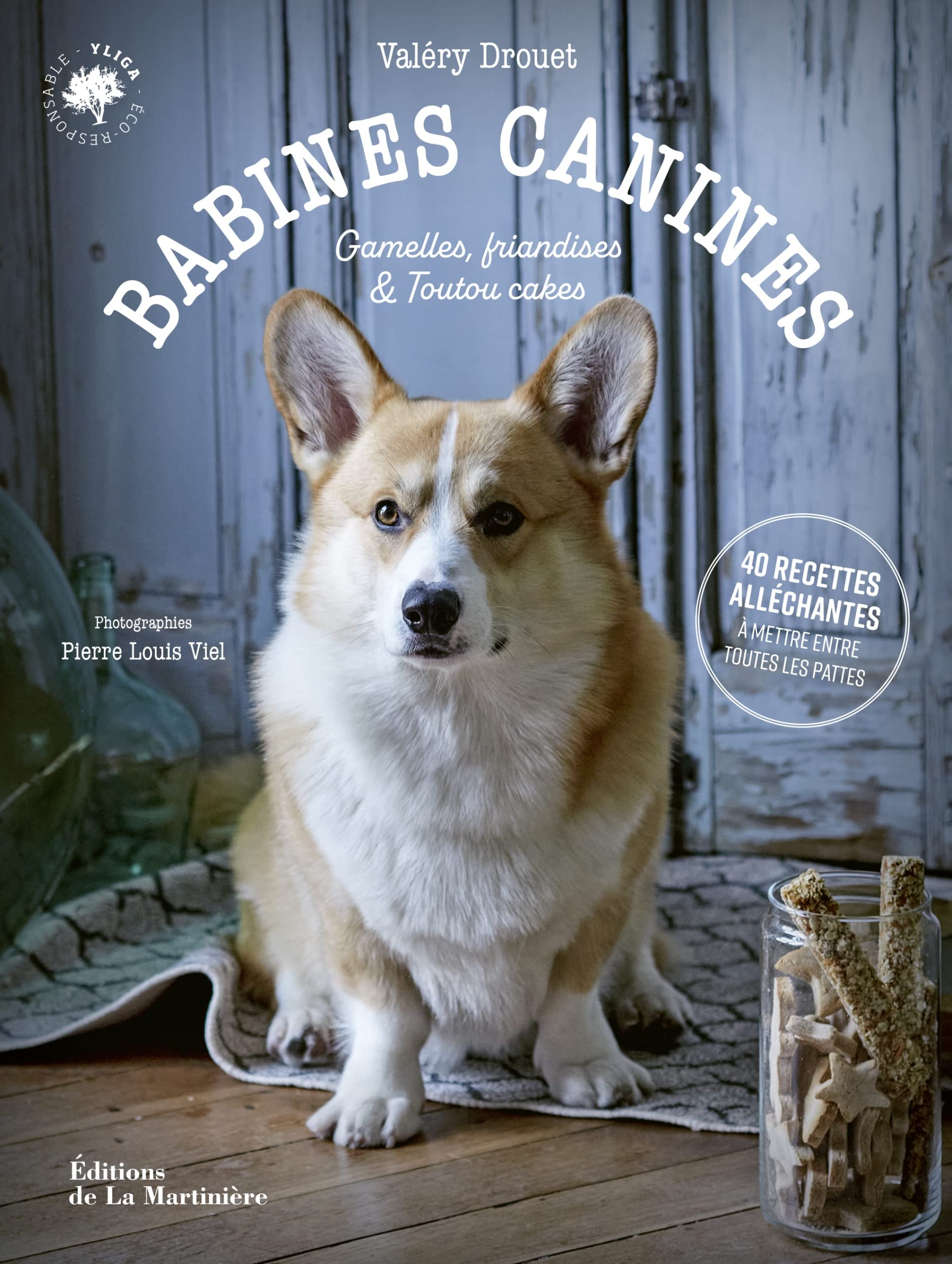 Babines canines : gamelles, friandises & toutou cakes : 40 recettes alléchantes à mettre entre toute