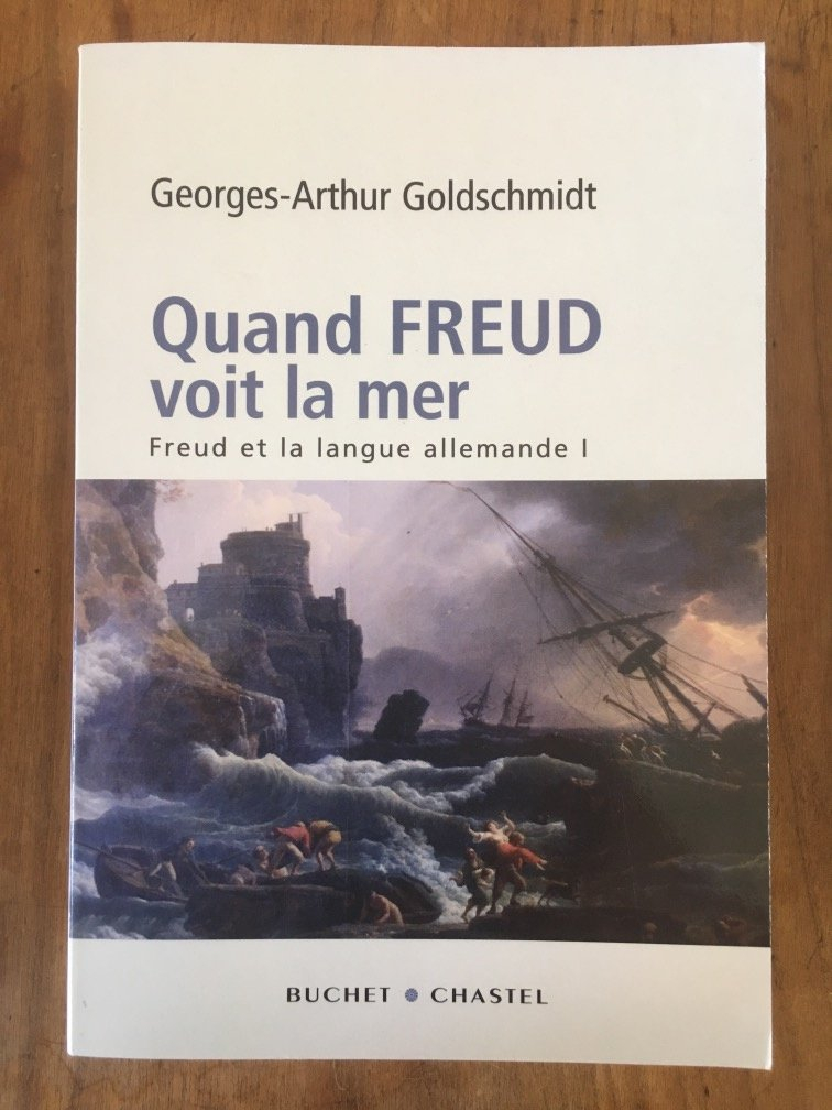 Freud et la langue allemande. Vol. 1. Quand Freud voit la mer