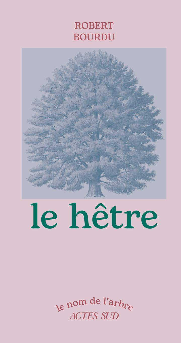 Le hêtre