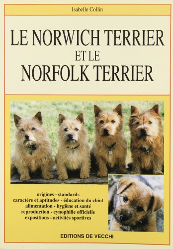 Le norwish terrier et le norfolk terrier