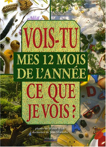 Vois-tu ce que je vois ?. Mes 12 mois de l'année