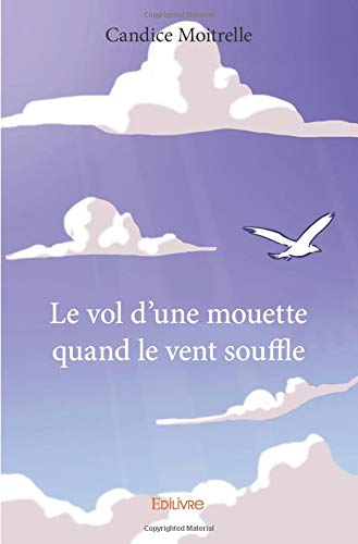 le vol d'une mouette quand le vent souffle