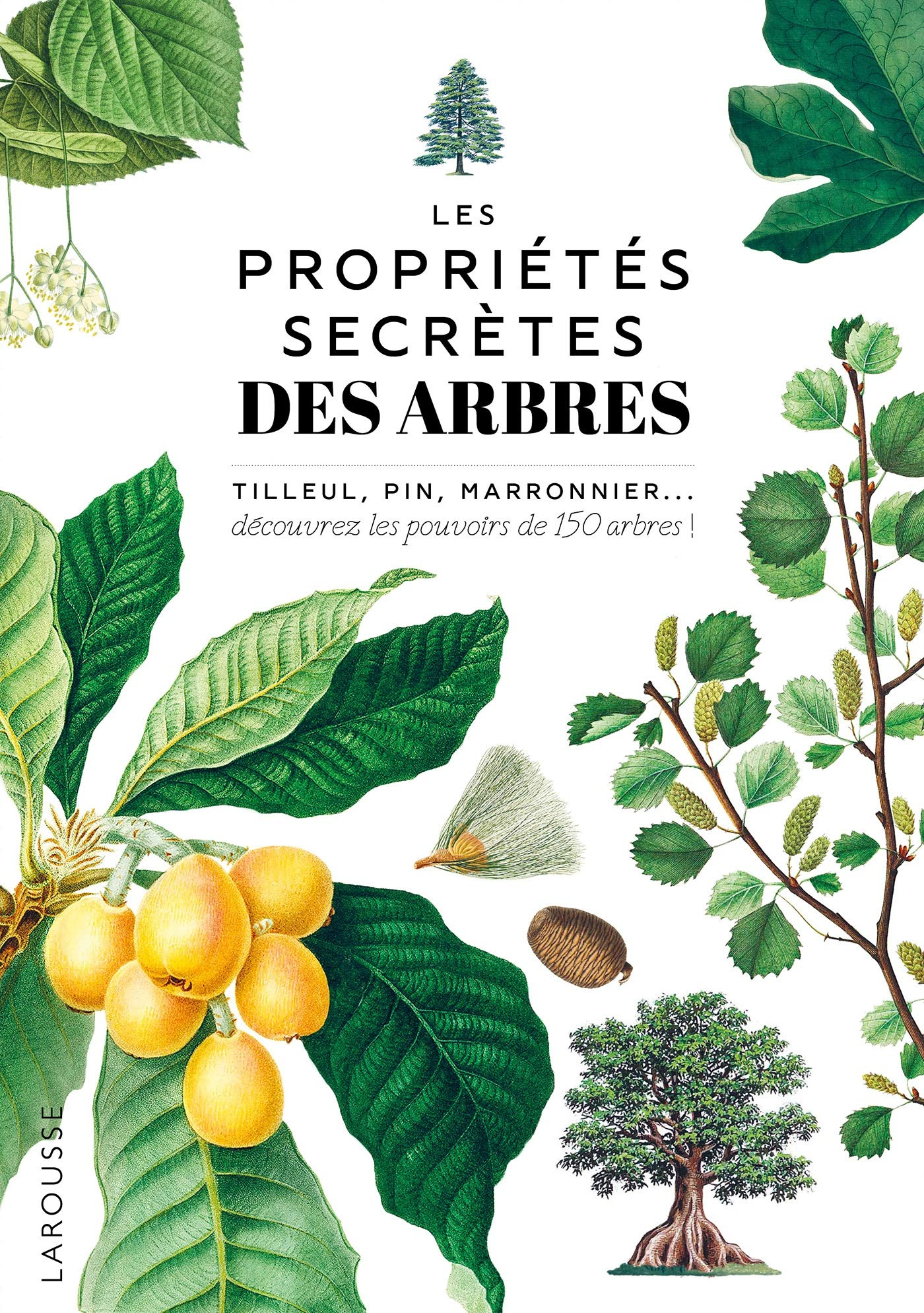 Les propriétés secrètes des arbres : tilleul, pin, marronnier... : découvrez les pouvoirs de 150 arb