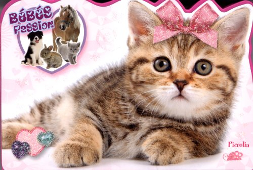 Chat