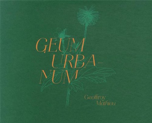 Geum urbanum : Tanger, Marseille, Edimbourg
