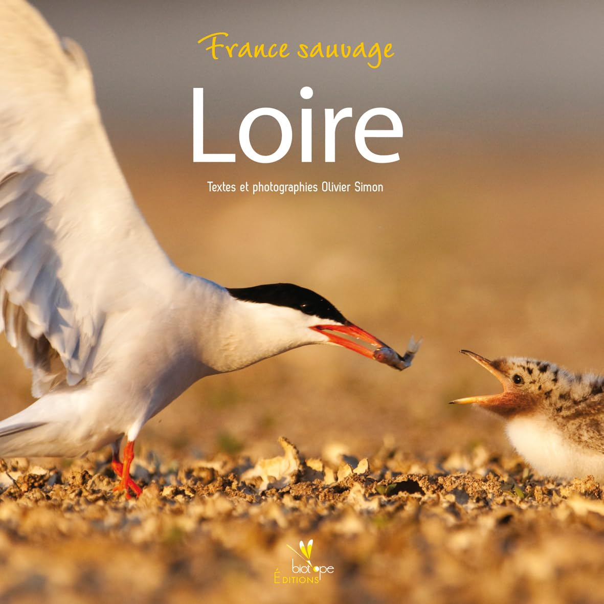 Loire