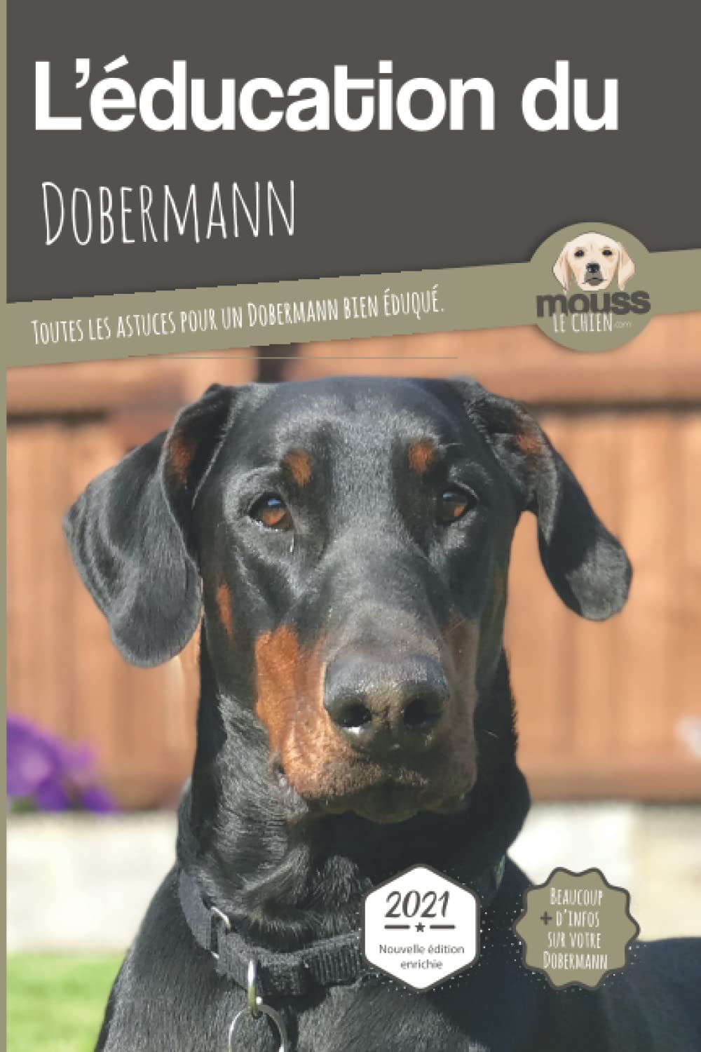 L'éducation du dobermann : toutes les astuces pour un dobermann bien éduqué : 2021