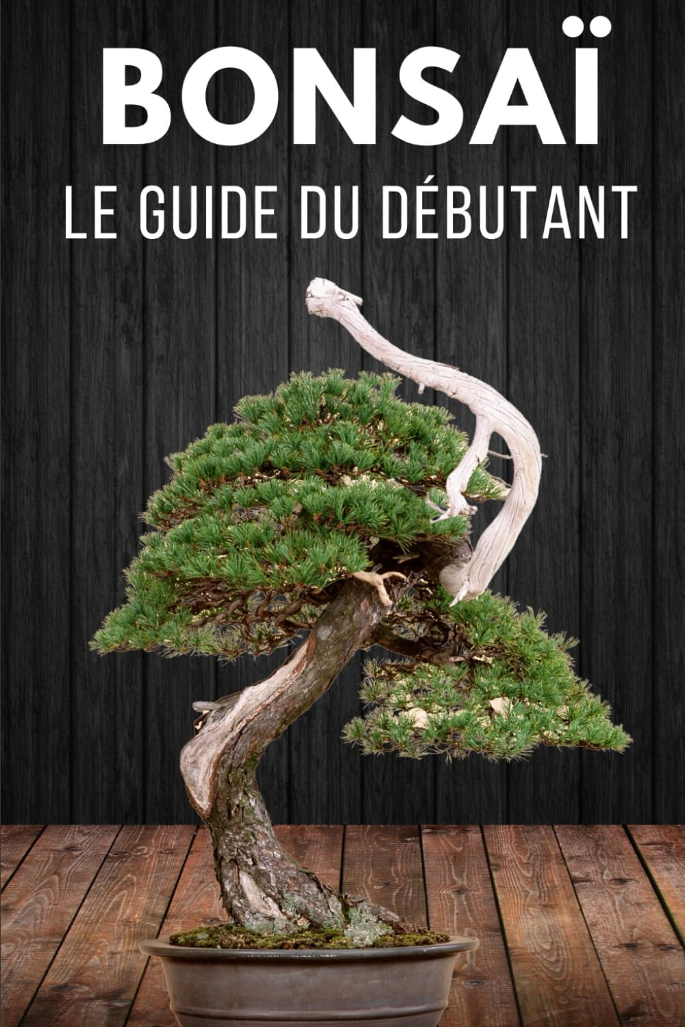 Bonsaï le Guide du Débutant: L'essentiel de l'entretien des Bonsaïs