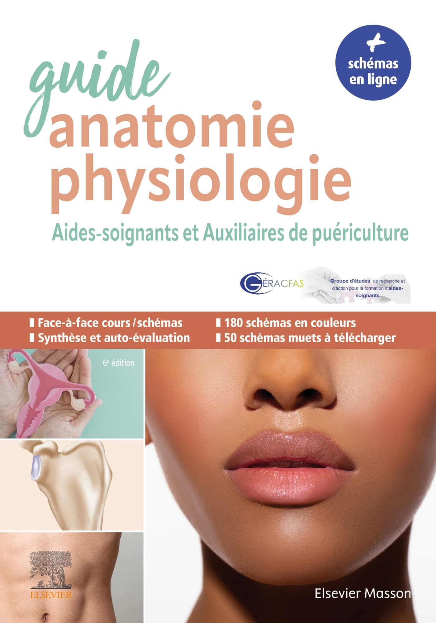 Guide anatomie et physiologie : aides-soignants et auxiliaires de puériculture : la référence