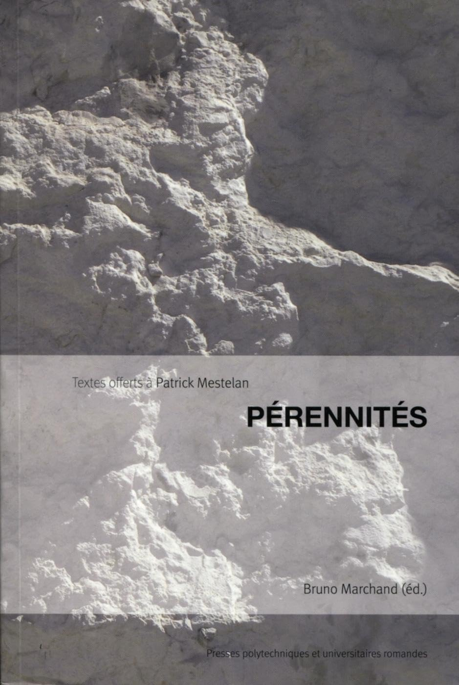 Pérennités : textes offerts à Patrick Mestelan