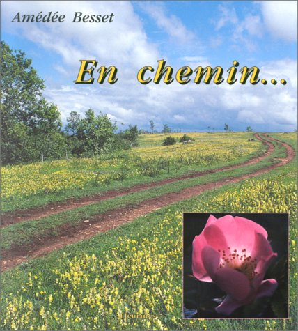 En chemin...