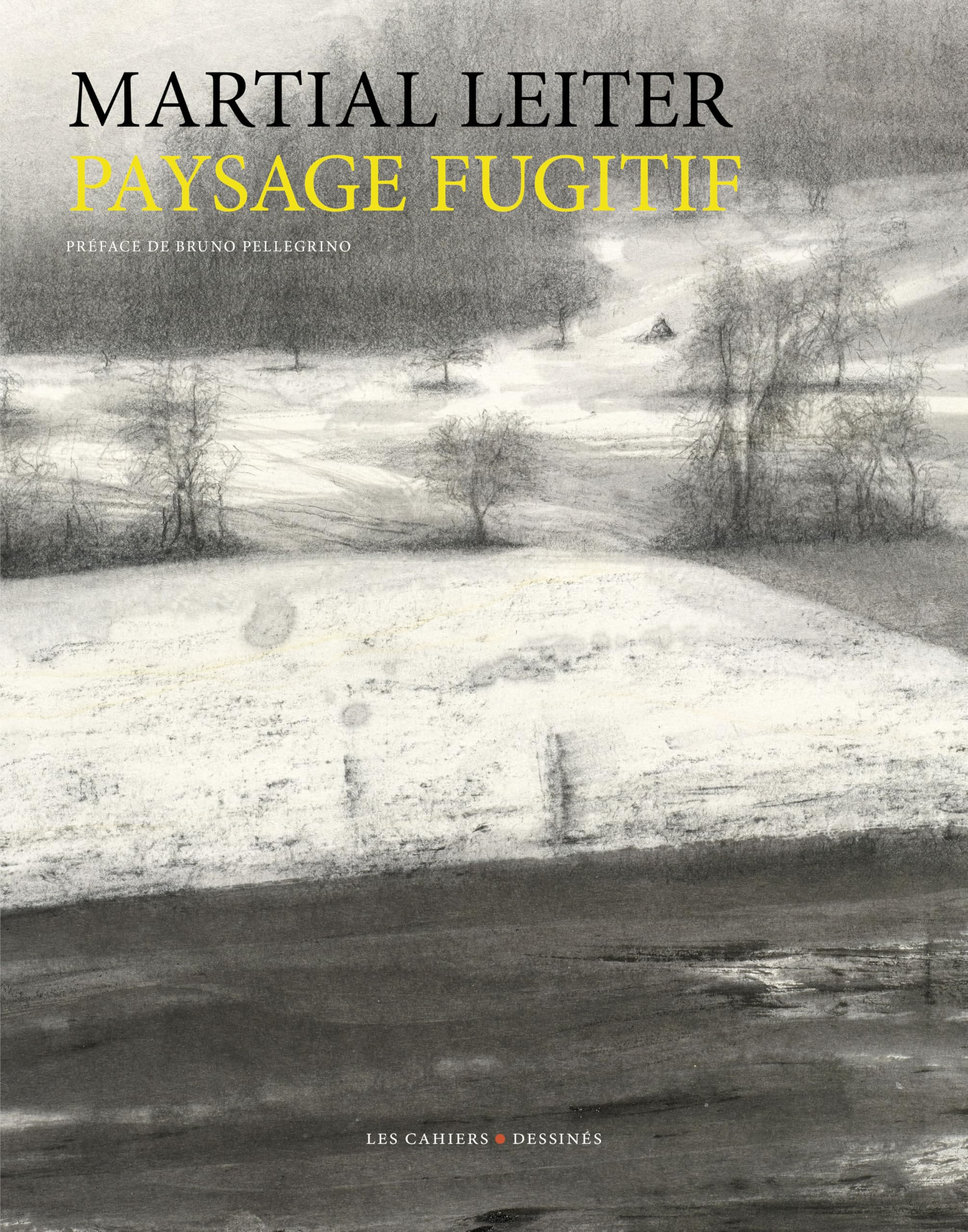 Paysage fugitif