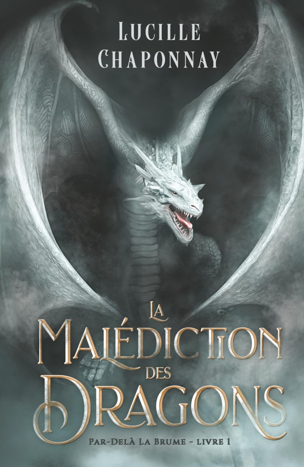 La Malédiction des Dragons: Une Romantasy Slow Burn