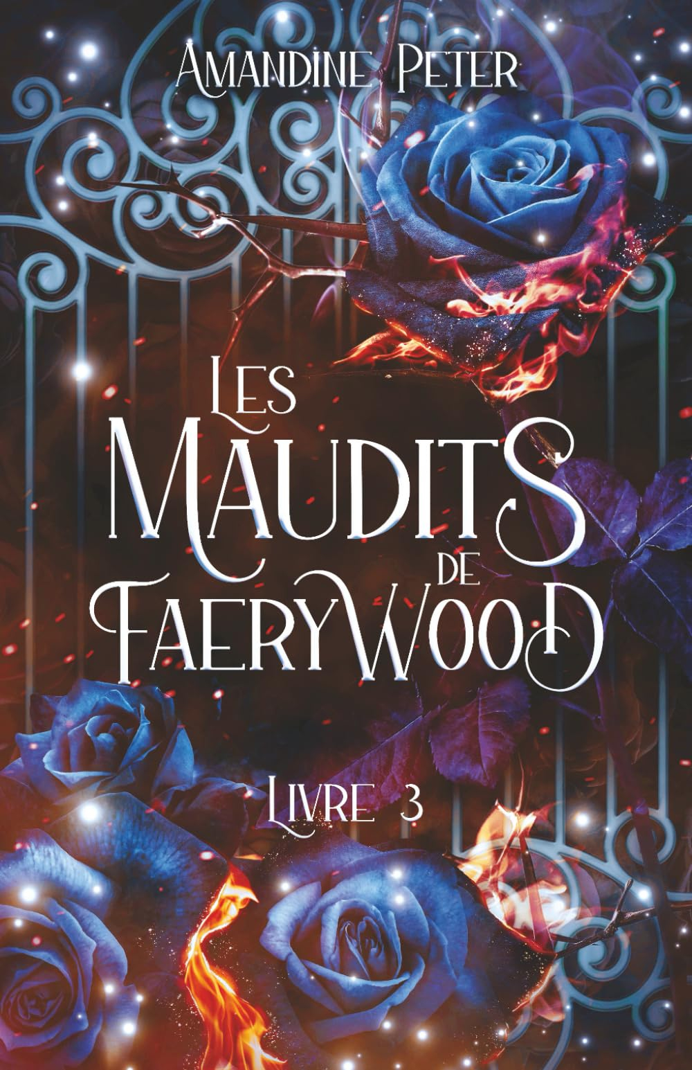 Les Maudits de Faerywood, Livre 3